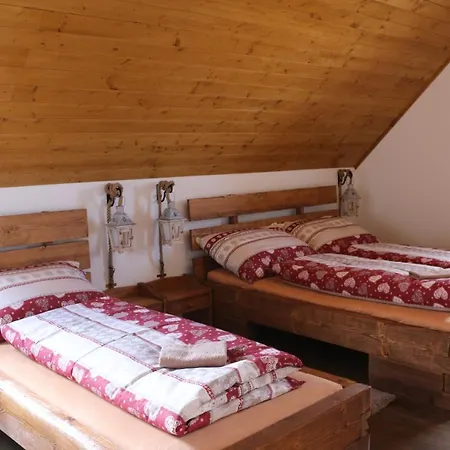 Pinus Cembra * Stará Lesná