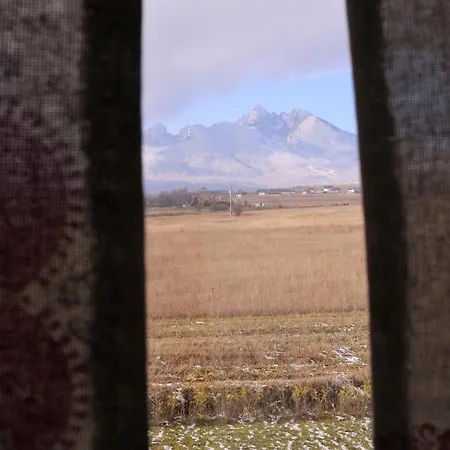 Pinus Cembra Stara Lesna