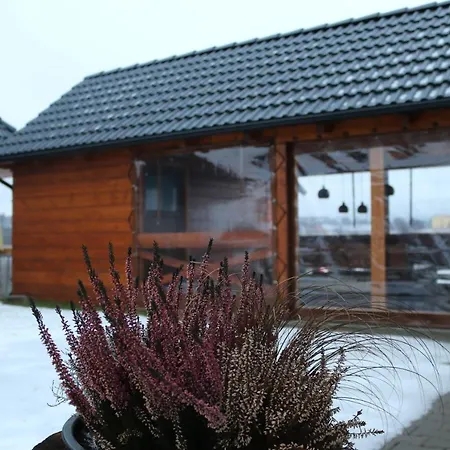 Pinus Cembra Stará Lesná