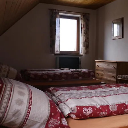 Pinus Cembra * Stará Lesná
