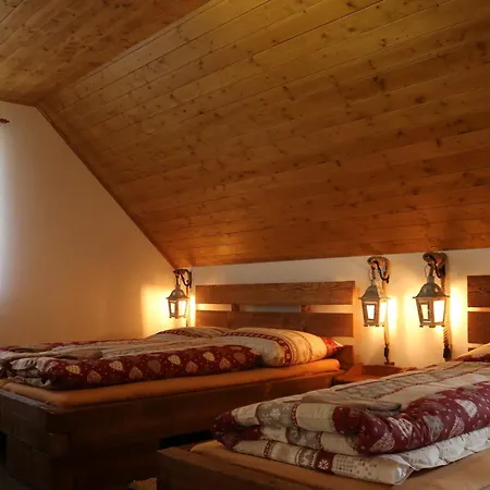 Prázdninový dům Pinus Cembra *